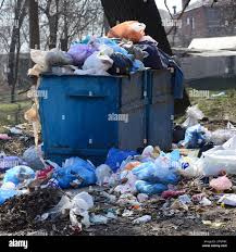 Best Dumpster Rental Services  in Cedar Grove, WI