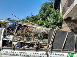 Best Same-Day Junk Removal Services  in Cedar Grove, WI