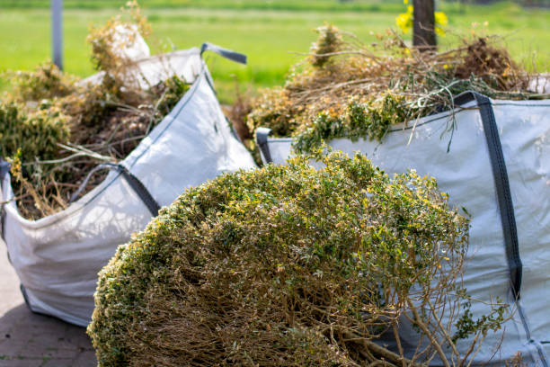 Reliable Cedar Grove, WI Junk Removal Services Solutions